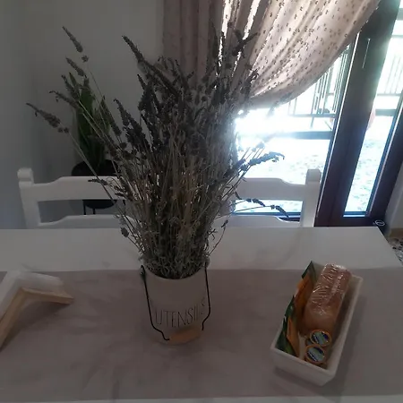 Elmar Mosaic Apartment
